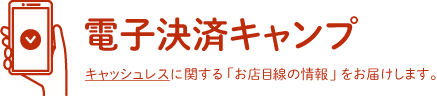 電子決済キャンプ